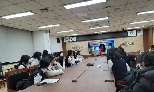 2021中韩学生线上文化交流活动在枣庄市实验学校成功举办市场营销策划方案